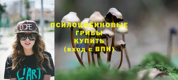 a pvp Алзамай